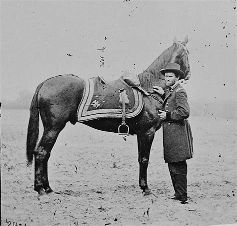 war horses in history.